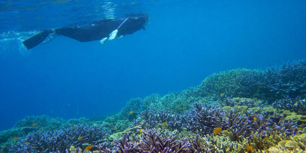 Q-and-A: Snorkeling Indonesia’s Raja Ampat