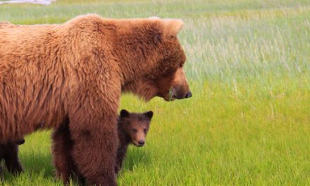 14 Reasons Why We Love Moms