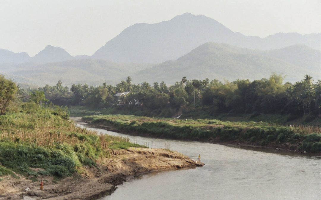 Embarking on a Career in Conservation