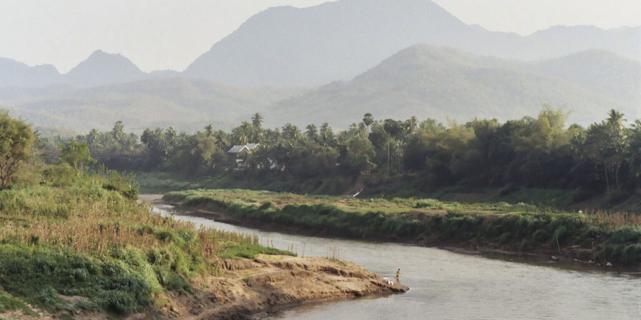 Embarking on a Career in Conservation