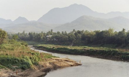 Embarking on a Career in Conservation