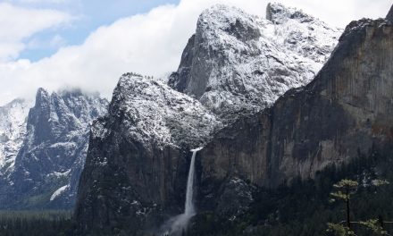 Video: Yosemite National Park in Print