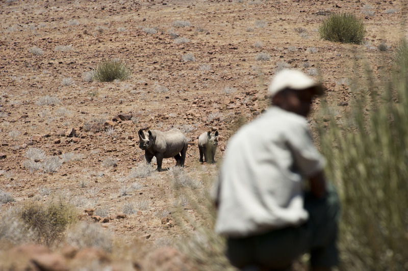 How Well-Meaning Travelers Inadvertently Help Poachers