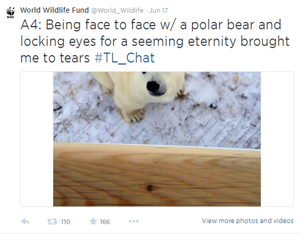 Travel & Leisure Chats with WWF on Twitter