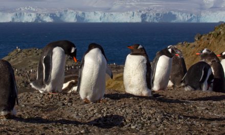 Photographs from an Antarctica Expedition
