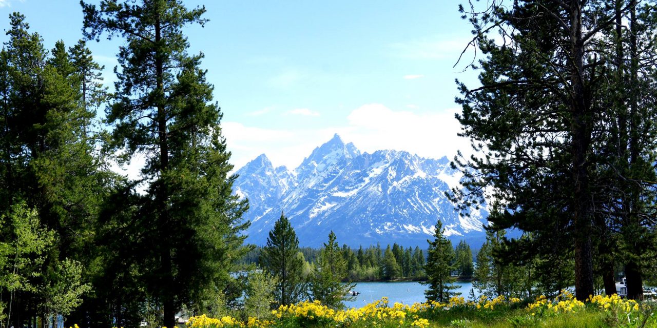 Why Wilderness Matters: The Wilderness Act Turns 50