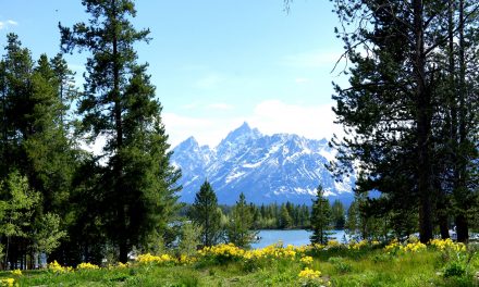 Why Wilderness Matters: The Wilderness Act Turns 50