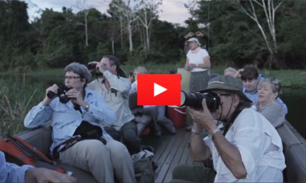 Video: A 680 Mile Journey Through the Amazon