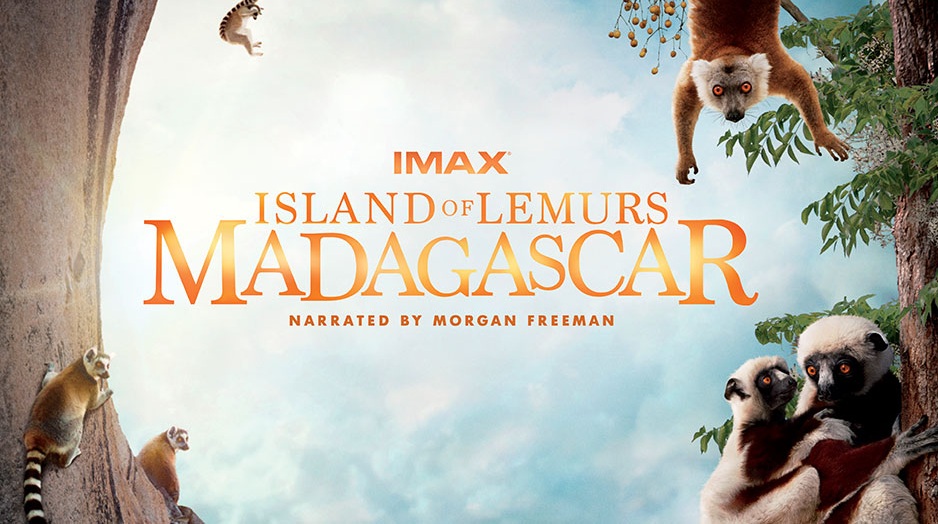 At an IMAX Theater Near You – Island of Lemurs: Madagascar