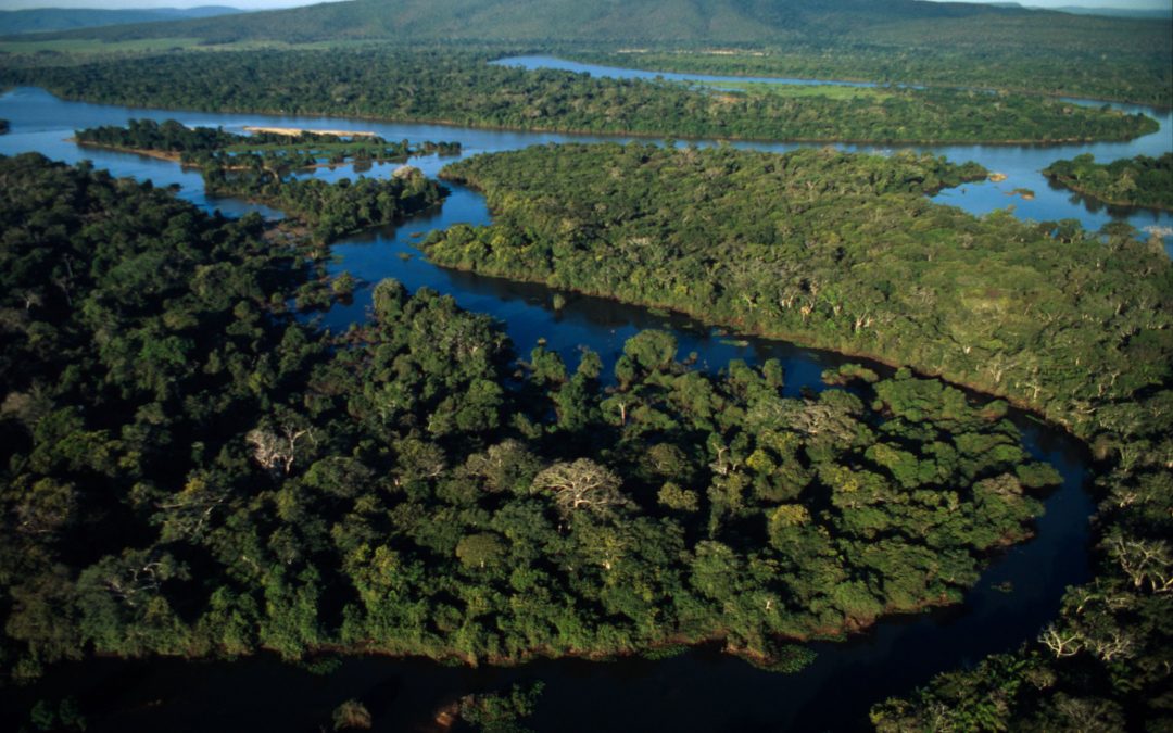 10 Watery Wetland Facts about the Pantanal