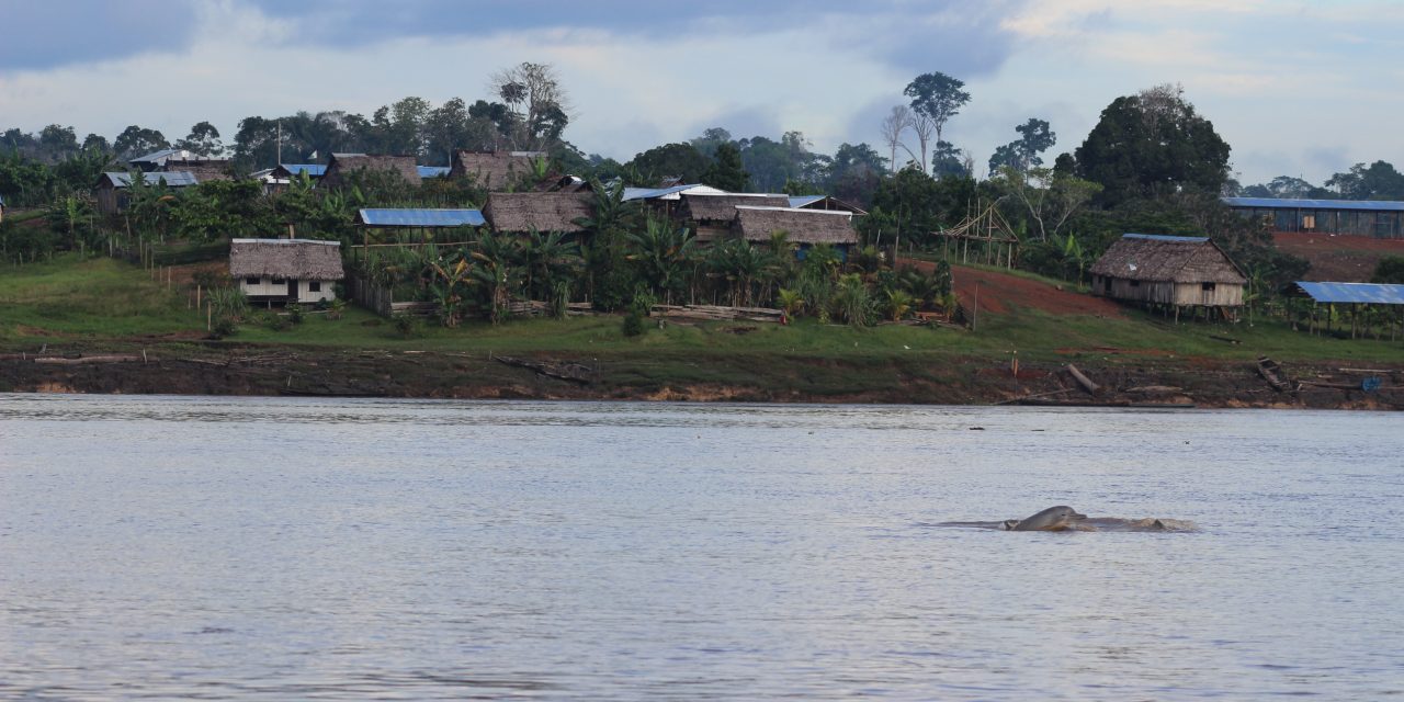 Top Shot: Amazon River Dolphin