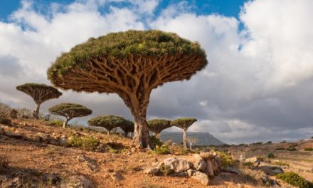 25 “Galapagos Islands” Around the World