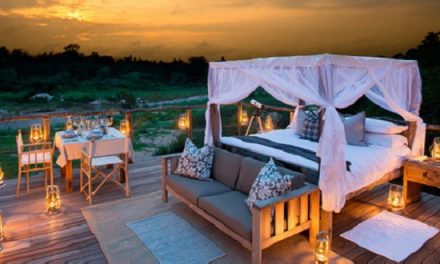 Video of the Week: Namibian Nights & Safari Sleepouts