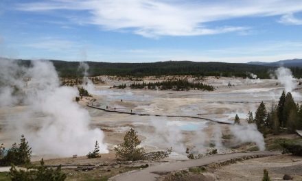 A Drone Crashed in Yellowstone: Do We Need Tighter Security in Our National Parks?