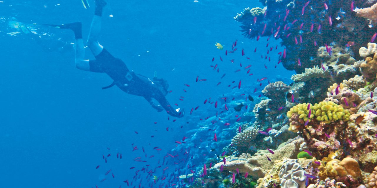 Just Announced: WWF Expert to Join Indonesia Trip