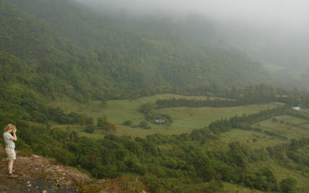 Half Earth: Could Setting Aside 50 Percent of the World for Wildlife Really Work?