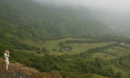 Half Earth: Could Setting Aside 50 Percent of the World for Wildlife Really Work?