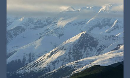50th Anniversary of the Wilderness Act: the Meaning of Wilderness by 10 American Authors