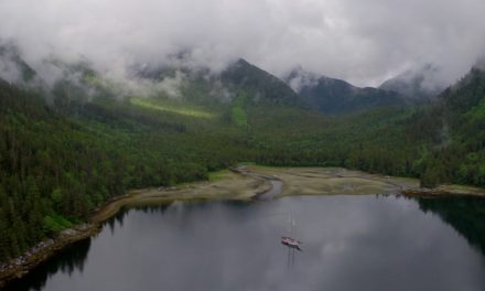 Video: Model Management in the Great Bear Rain Forest