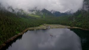 Great Bear Rainforest