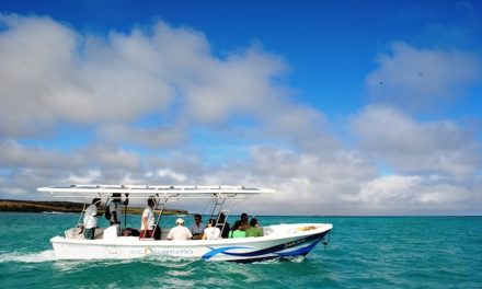 Can a Solar Powered Boat Help Save the Galapagos?