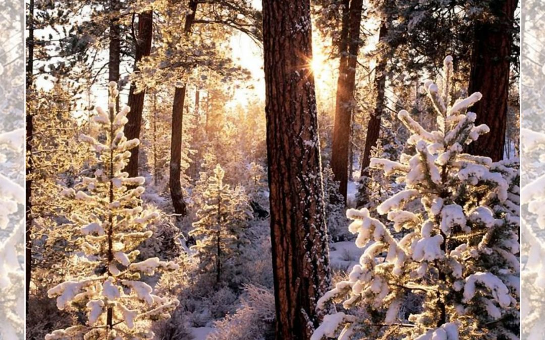 New Snowmobile Lottery System: Will It Alter Yellowstone’s Winter Solitude?