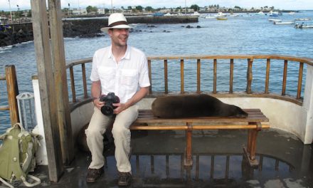 Galapagos Islands Etiquette Tip #39: It's Polite to Offer a Sea Lion Your Seat (Video)