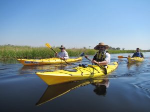 kayaking, Okavango Delta, Botswana, crocodiles, dange