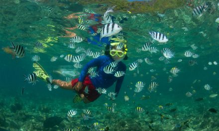 Choose Your Next Great Snorkeling Trip