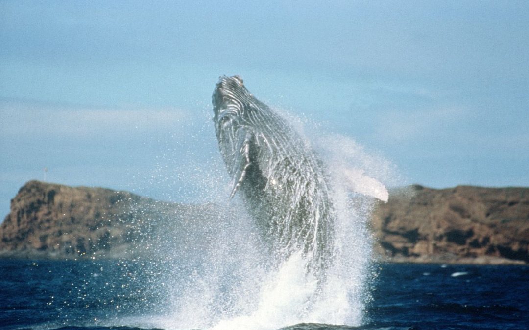 Ten highlights of Our New Hawaii Itinerary