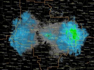 Are They Clouds of Monarchs? Mysterious Unidentifiable ‘Blobs’ Spotted by Radar Over the Midwest