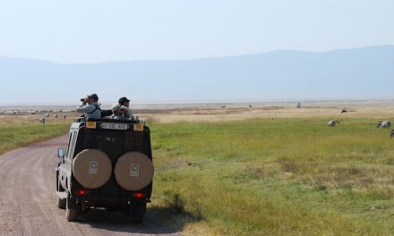 Want to Follow the Great Migration on Your Smartphone? There’s an App for That.