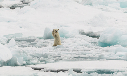 2014 National Geographic Photo Contest Amazes
