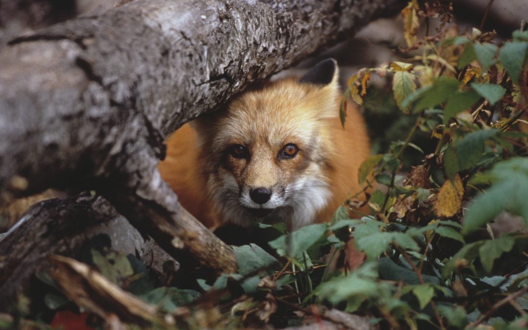 5 Skills You Should Learn for Your Next Travel Adventure