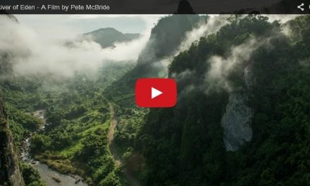 Video: Fiji's Greatest Success Story