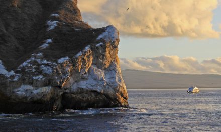 Scouting the Skies and Combing the Beaches in the Galapagos Islands