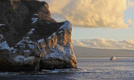 Reconnecting with the Natural World in the Galapagos