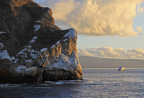 Reconnecting with the Natural World in the Galapagos