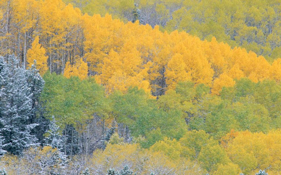 New UN Report on Climate Change: Only 50 PPM of Greenhouse Gases Now Stands between Us and Disaster