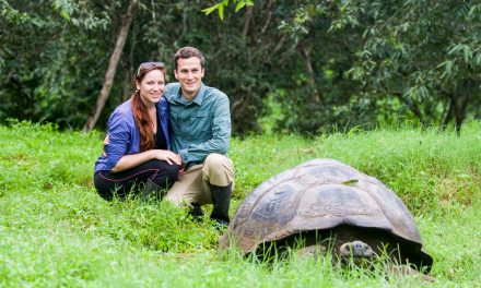 A Conservationist's Dream Honeymoon in the Galapagos