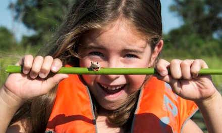 Top 5 Safari Camps for Families