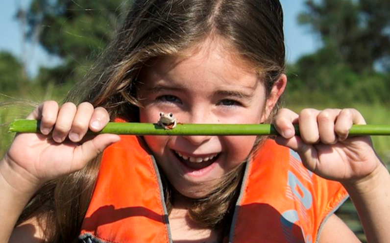 Top 5 Safari Camps for Families