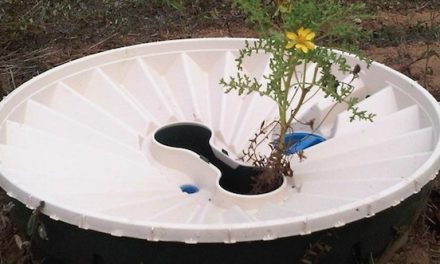 Can a Strange Looking Plastic Box Make the Galapagos Green Again?