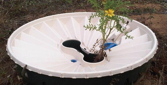 groasis waterboxx galapagos islands