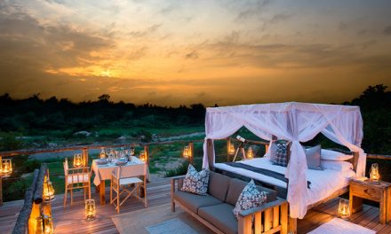 Video: Namibian Nights & The Best Safari Sleepouts