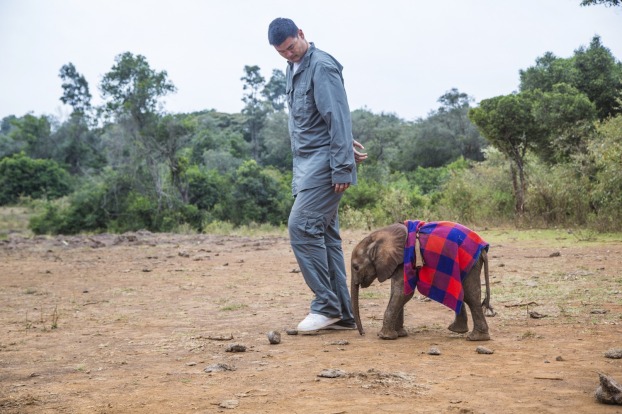 NBA star Yao Ming and an elephant calf.