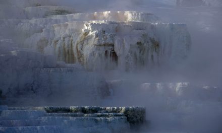 Traveler Story: Lost in Time in Yellowstone National Park