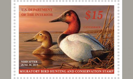 Best Conservation Christmas Gift: a Federal Duck Stamp