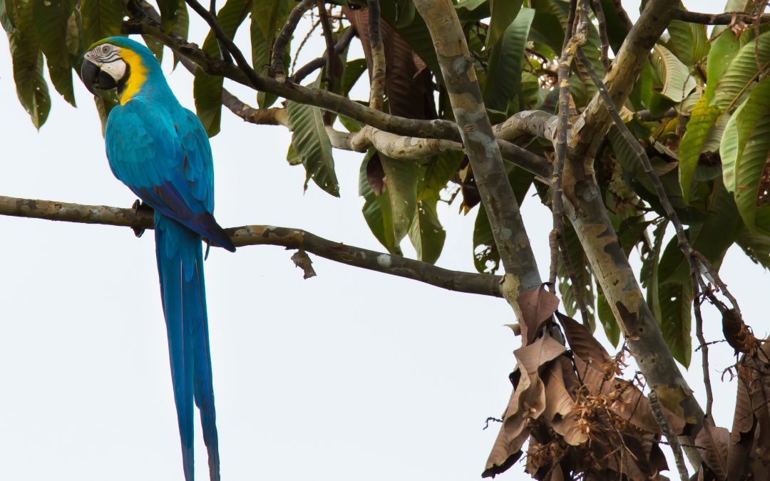 10 WWF Success Stories of 2014