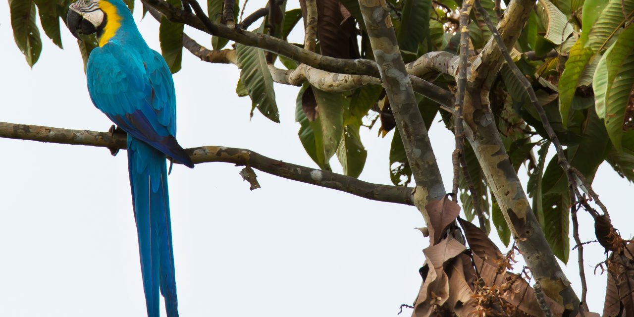 10 WWF Success Stories of 2014